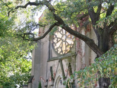 Holiday apartment Ferienwohnung Familie Noack - Environment photo 18