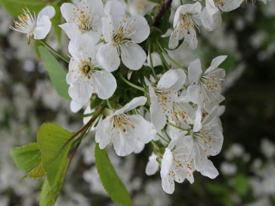 Apartment Wohnung in Kröpelin - ehemals TUI Ferienhaus - Outdoor photo 40