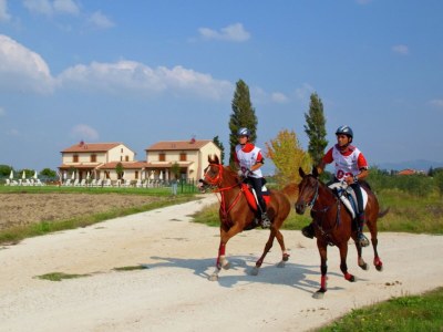 Villa Villa in Cannara with Pool near Assisi - Environment photo 29