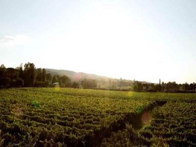 Villa Villa in Cannara with Pool near Assisi - Environment photo 31