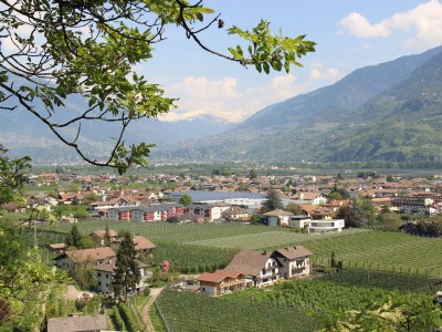 Holiday apartment Sonnenblume | Praitladhof - Environment photo 13