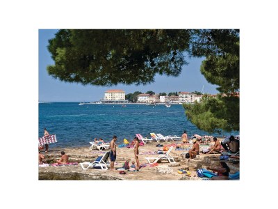 Holiday apartment Birikina nr.3 with pool - Environment photo 19