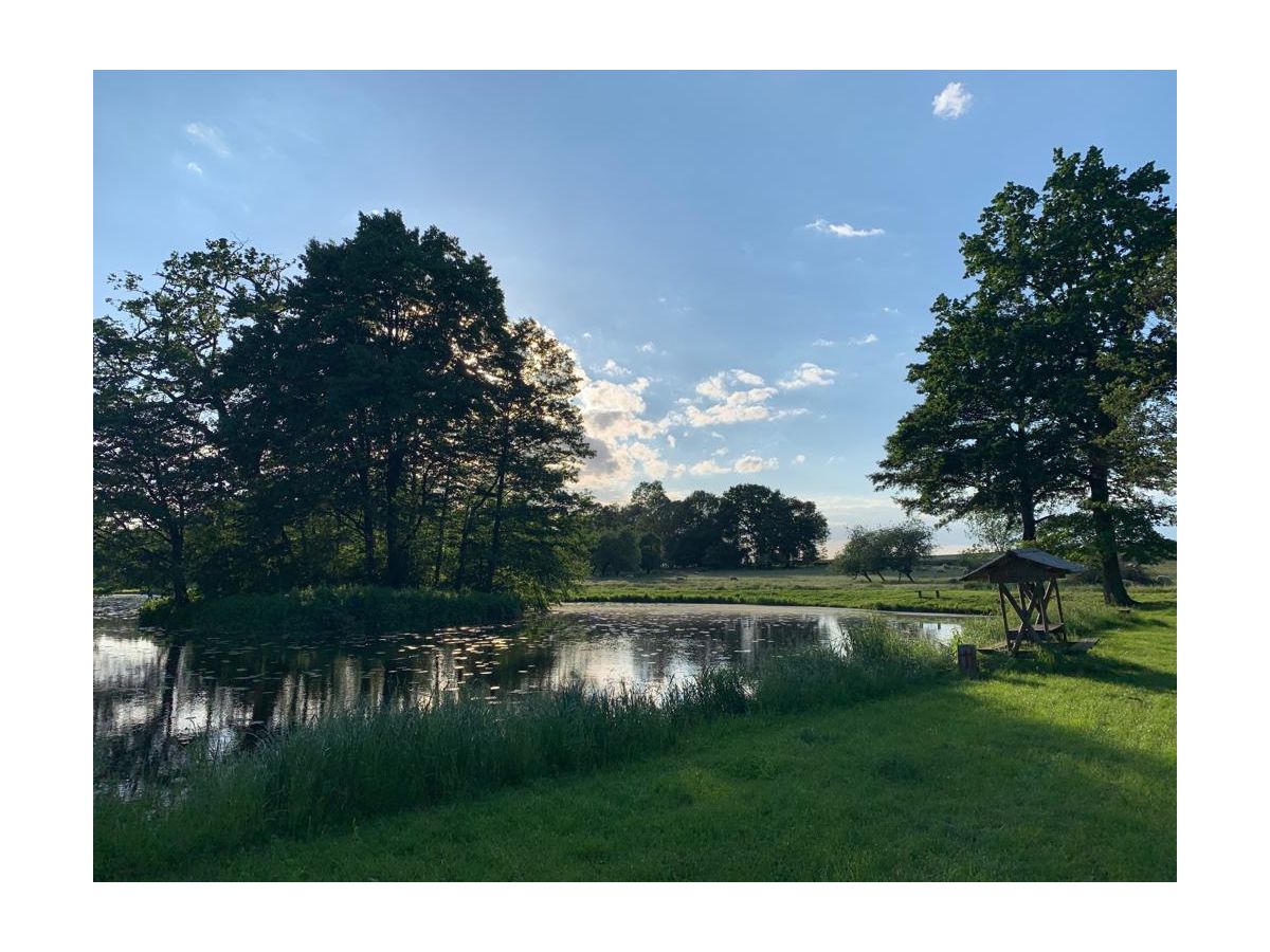 Holiday apartment Schoss Badow - Outdoor photo 4