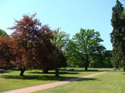 Holiday apartment Schoss Badow - Outdoor photo 3