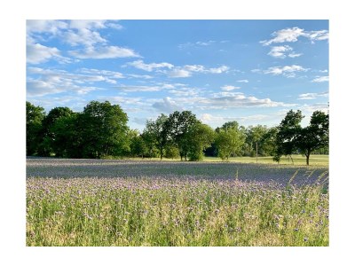 Holiday apartment Schoss Badow - Outdoor photo 5