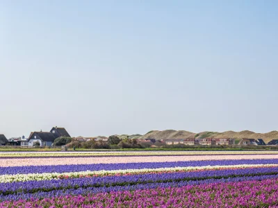 Holiday house Buitenplaats - Environment photo 31