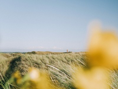 Holiday house Buitenplaats - Environment photo 32