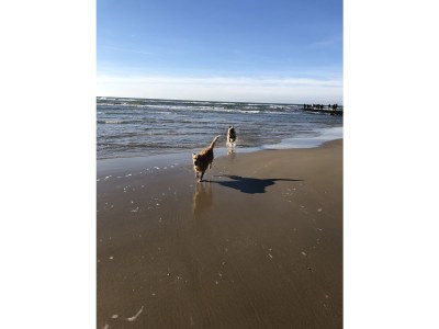 Holiday house De Keizerskroon 16 - Environment photo 23