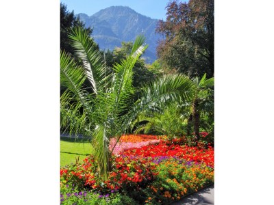 Holiday apartment Salzburg - Environment photo 13