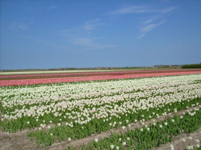 Holiday house Zeebries - Environment photo 19