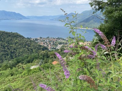 Holiday apartment Casa Magdalena - upper apartment 1 - Environment photo 21