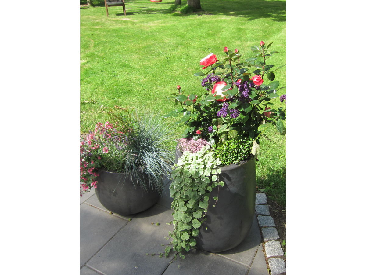 Holiday house Moevenhof - Outdoor photo 2