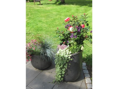 Holiday house Moevenhof - Outdoor photo 2