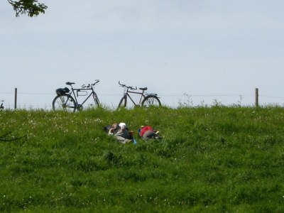 Holiday house Moevenhof - Environment photo 12