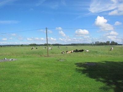 Holiday house Moevenhof - Environment photo 18