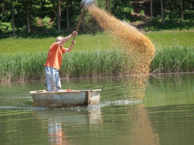 Holiday apartment Gut Hornegg am Spiegelsee - Gute Luise - Environment photo 15