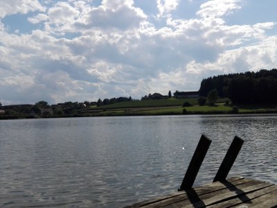 Holiday apartment Gut Hornegg am Spiegelsee - Gute Luise - Environment photo 17