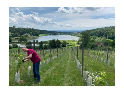 Holiday apartment Gut Hornegg am Spiegelsee - Gute Luise - Environment photo 21