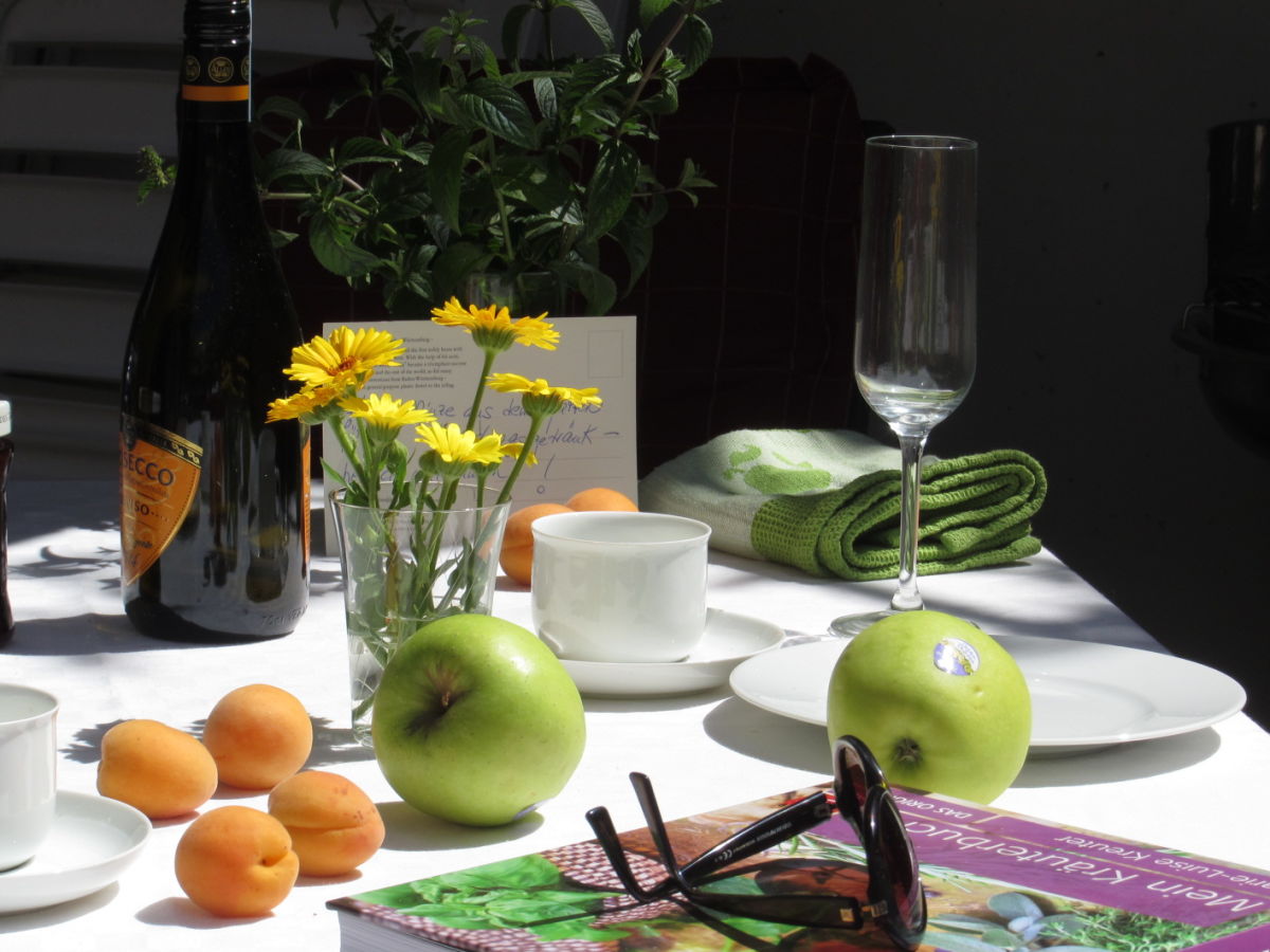 Holiday apartment Ferienwohnung Blütenreich - Outdoor photo 3