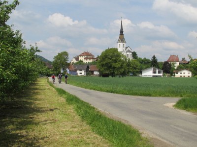 Holiday apartment Ferienwohnung Blütenreich - Environment photo 16