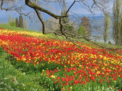 Holiday apartment Ferienwohnung Blütenreich - Environment photo 19
