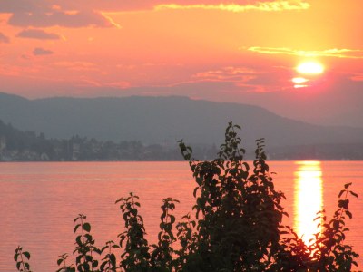 Holiday apartment Ferienwohnung Blütenreich - Environment photo 22