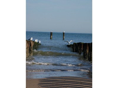 Holiday house Randduinweg Oostkapelle - Environment photo 16