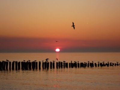 Holiday house Luxury Studio in the center of Domburg DO07 - Environment photo 19