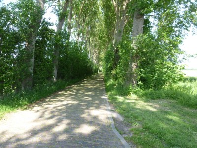 Holiday house Luxury Studio in the center of Domburg DO07 - Environment photo 25