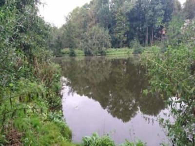 Apartment Lake Retreat in Kossau - Environment photo 28