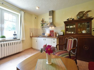 Apartment Romantische Ferienwohnung in Boldenshagen - Features photo 14