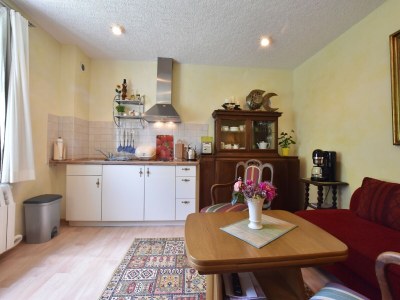 Apartment Romantische Ferienwohnung in Boldenshagen - Features photo 29