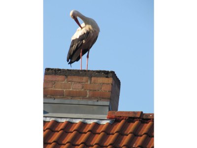 Holiday house Monis Gästehaus - Environment photo 13