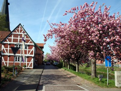 Apartment Abendsonne ("Evening sun") - Environment photo 10