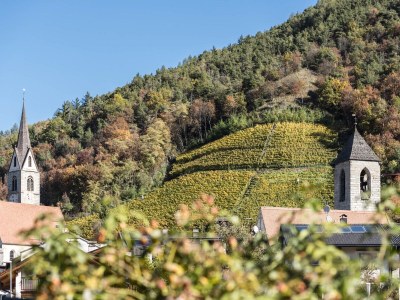 Holiday apartment Geisler Mittermoarhof - Outdoor photo 3