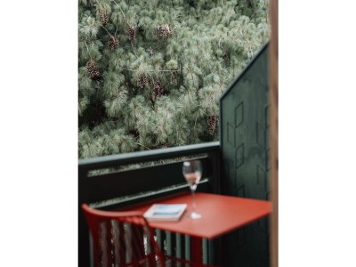 Holiday apartment Geisler Mittermoarhof - Outdoor photo 6