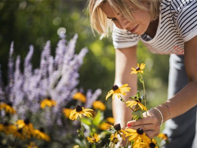 Holiday apartment Geisler Mittermoarhof - Outdoor photo 8