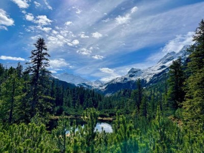 Apartment Apartment in Niedernsill with Garden Views - Environment photo 23