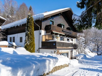 Apartment Wohnung in Niedernsill nahe Zell am See - Outdoor photo 8