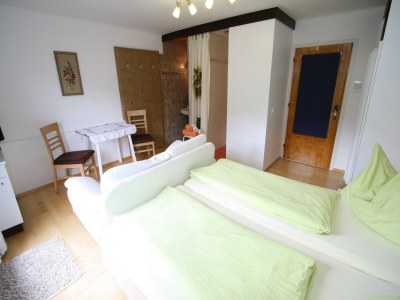 Apartment Wohnung in Niedernsill nahe Zell am See - Features photo 12