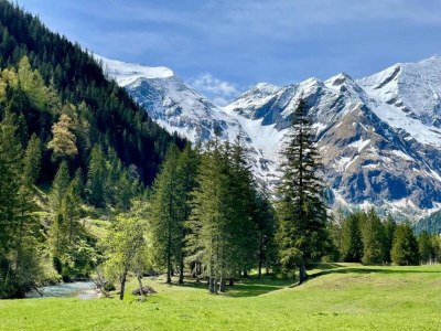 Apartment Wohnung in Niedernsill nahe Zell am See - Environment photo 38