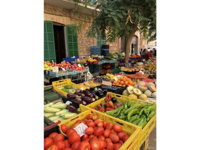 Apartment Mirador - Bella Vista - ETVPL/13110 - Environment photo 18