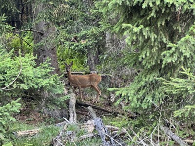 Holiday apartment - No title - - Outdoor photo 30