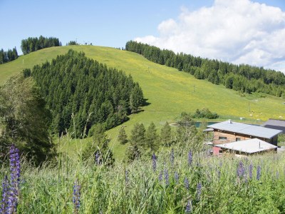 Holiday apartment - No title - - Outdoor photo 32