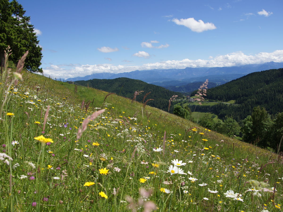 Holiday apartment - No title -