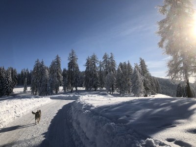 Holiday apartment - No title - - Outdoor photo 35