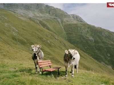 Holiday house Chalet with 2 apartments in Gasteig in Tyrol - Environment photo 34