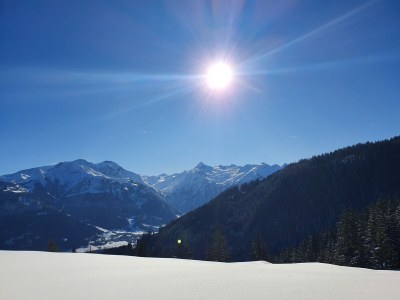 Holiday apartment Haus Wilhelmina - Environment photo 12