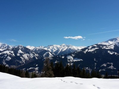 Holiday apartment Haus Wilhelmina - Environment photo 17