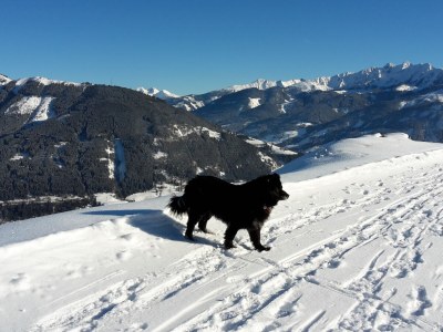 Holiday apartment Haus Wilhelmina - Environment photo 20